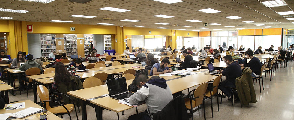 Estudis i docencia.JPG